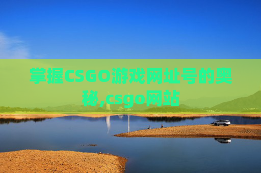 掌握CSGO游戏网址号的奥秘,csgo网站