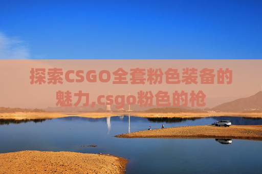 探索CSGO全套粉色装备的魅力,csgo粉色的枪