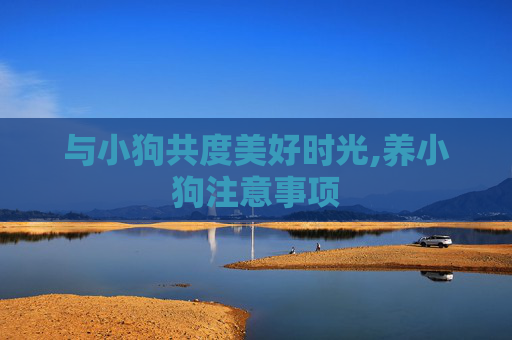 与小狗共度美好时光,养小狗注意事项