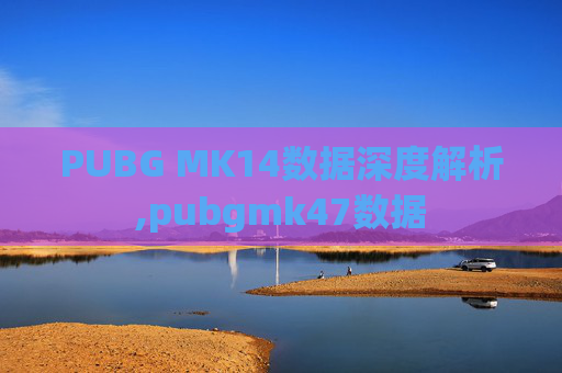 PUBG MK14数据深度解析,pubgmk47数据