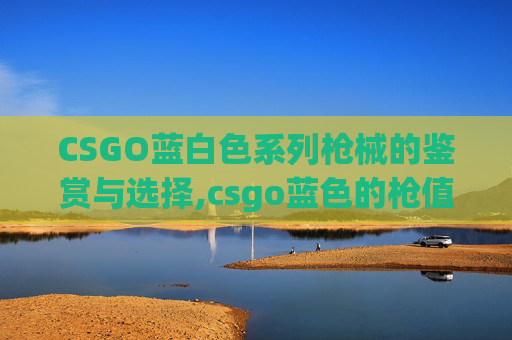CSGO蓝白色系列枪械的鉴赏与选择,csgo蓝色的枪值钱吗