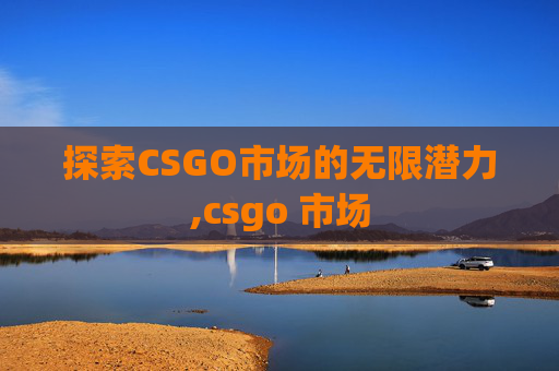探索CSGO市场的无限潜力,csgo 市场