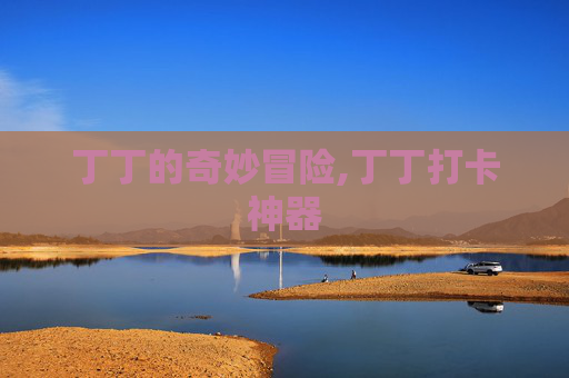 丁丁的奇妙冒险,丁丁打卡神器