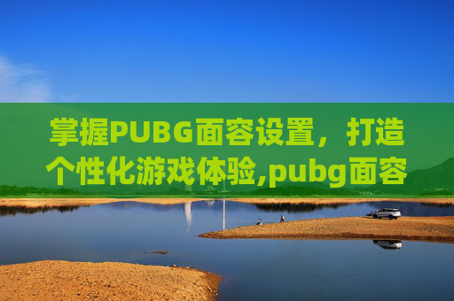 掌握PUBG面容设置，打造个性化游戏体验,pubg面容大全