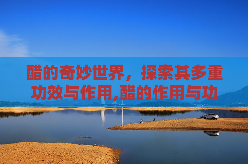 醋的奇妙世界，探索其多重功效与作用,醋的作用与功效禁忌