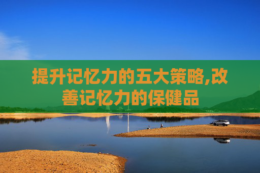 提升记忆力的五大策略,改善记忆力的保健品