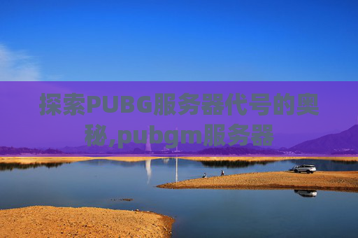 探索PUBG服务器代号的奥秘,pubgm服务器