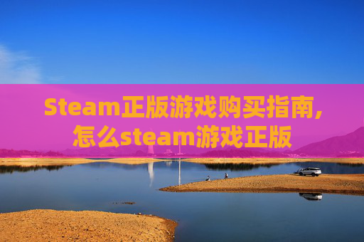 Steam正版游戏购买指南,怎么steam游戏正版