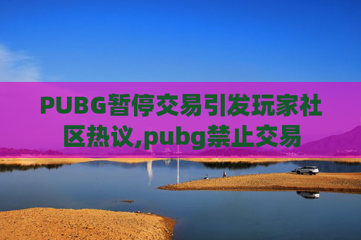PUBG暂停交易引发玩家社区热议,pubg禁止交易