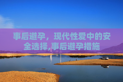 事后避孕，现代性爱中的安全选择,事后避孕措施