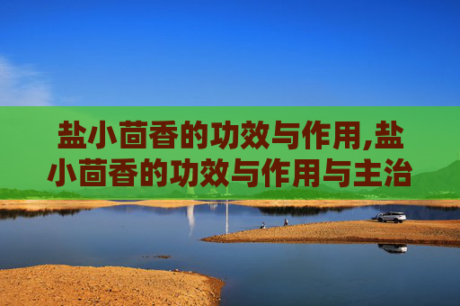 盐小茴香的功效与作用,盐小茴香的功效与作用与主治