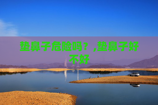 垫鼻子危险吗？,垫鼻子好不好