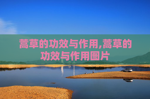 蒿草的功效与作用,蒿草的功效与作用图片