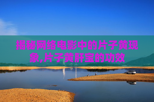 揭秘网络电影中的片子黄现象,片子黄肝宝的功效