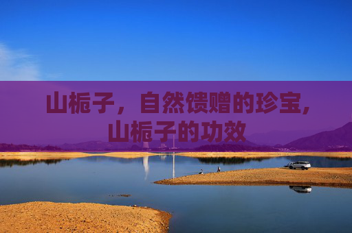 山栀子，自然馈赠的珍宝,山栀子的功效