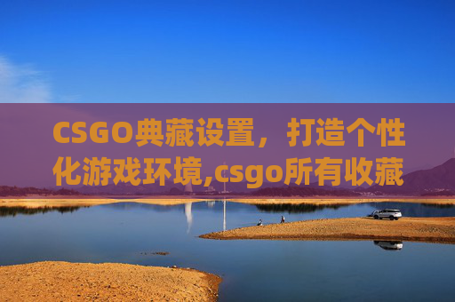 CSGO典藏设置，打造个性化游戏环境,csgo所有收藏品一览