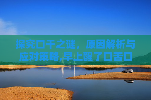 探究口干之谜，原因解析与应对策略,早上醒了口苦口干是什么原因呢