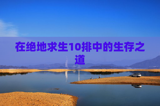 在绝地求生10排中的生存之道
