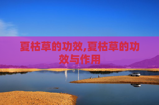 夏枯草的功效,夏枯草的功效与作用