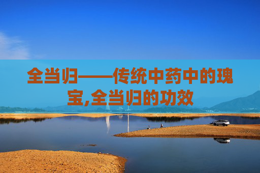 全当归——传统中药中的瑰宝,全当归的功效 全当归——传统中药中的瑰宝,全当归的功效