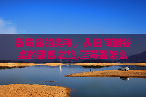 蓝莓酱的奥秘,从田间到餐桌的甜蜜之旅,蓝莓酱怎么制作 蓝莓酱的奥秘,从田间到餐桌的甜蜜之旅,蓝莓酱怎么制作