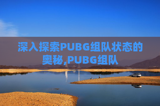 深入探索PUBG组队状态的奥秘,PUBG组队 深入探索PUBG组队状态的奥秘,PUBG组队
