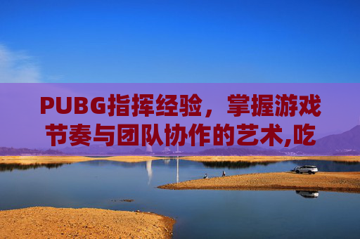 PUBG指挥经验,掌握游戏节奏与团队协作的艺术,吃鸡里的指挥官什么意思 PUBG指挥经验,掌握游戏节奏与团队协作的艺术,吃鸡里的指挥官什么意思