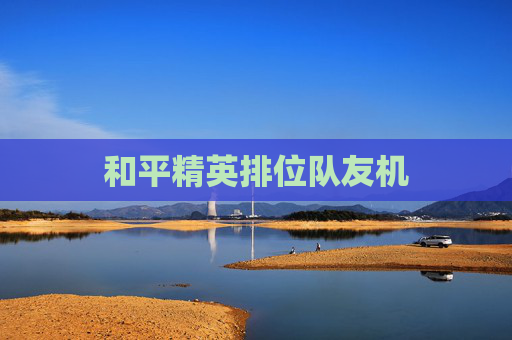 和平精英排位队友机