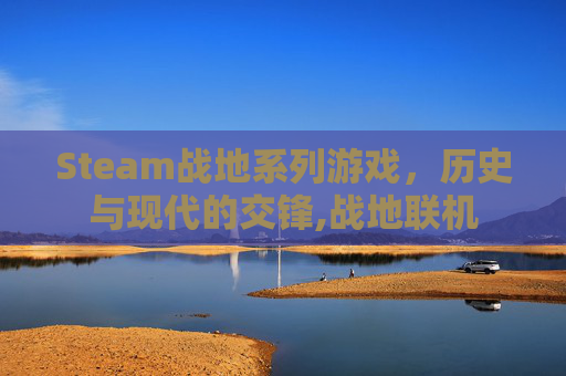 Steam战地系列游戏，历史与现代的交锋,战地联机