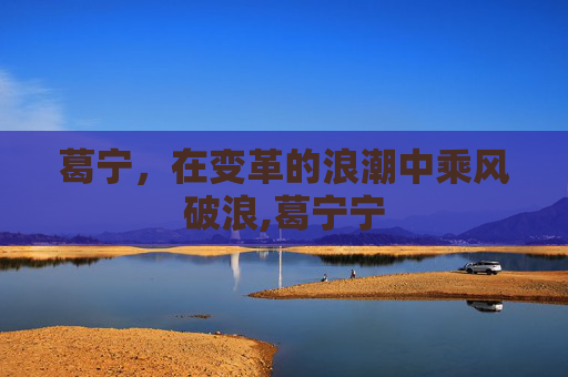葛宁，在变革的浪潮中乘风破浪,葛宁宁