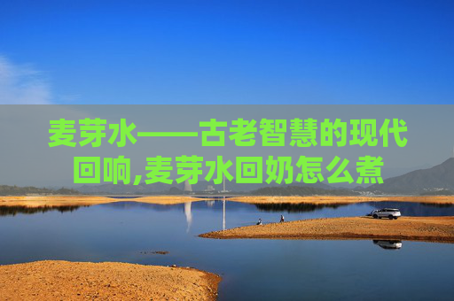 麦芽水——古老智慧的现代回响,麦芽水回奶怎么煮