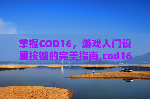 掌握COD16，游戏入门设置按键的完美指南,cod16控制台按键图解