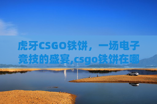 虎牙CSGO铁饼，一场电子竞技的盛宴,csgo铁饼在哪直播