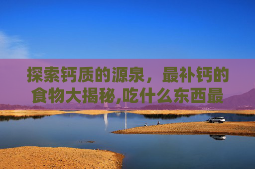 探索钙质的源泉，最补钙的食物大揭秘,吃什么东西最补钙还有什么蔬菜补钙