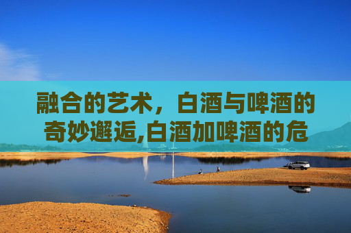 融合的艺术，白酒与啤酒的奇妙邂逅,白酒加啤酒的危害