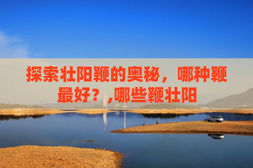探索壮阳鞭的奥秘，哪种鞭最好？,哪些鞭壮阳