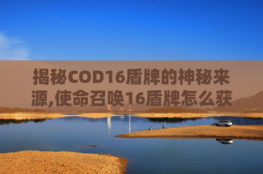 揭秘COD16盾牌的神秘来源,使命召唤16盾牌怎么获得