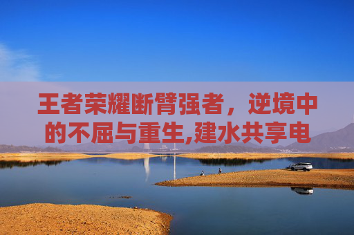 王者荣耀断臂强者，逆境中的不屈与重生,建水共享电单车