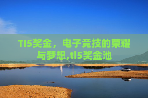 TI5奖金，电子竞技的荣耀与梦想,ti5奖金池