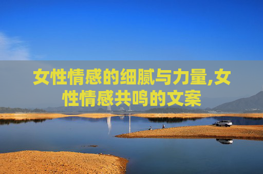 女性情感的细腻与力量,女性情感共鸣的文案