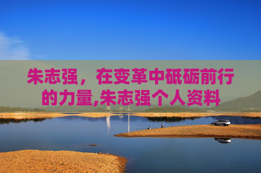 朱志强，在变革中砥砺前行的力量,朱志强个人资料