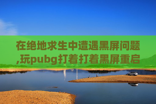 在绝地求生中遭遇黑屏问题,玩pubg打着打着黑屏重启