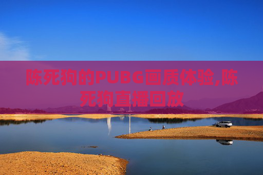 陈死狗的PUBG画质体验,陈死狗直播回放