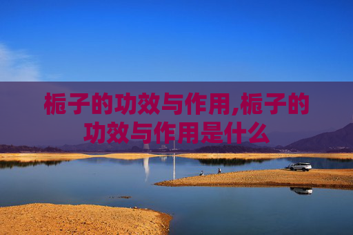 栀子的功效与作用,栀子的功效与作用是什么