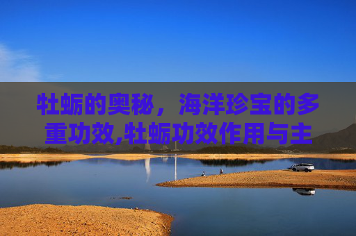牡蛎的奥秘，海洋珍宝的多重功效,牡蛎功效作用与主治功能是什么