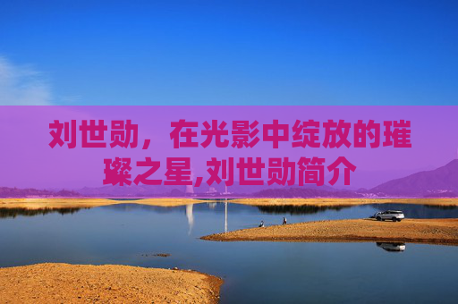 刘世勋，在光影中绽放的璀璨之星,刘世勋简介