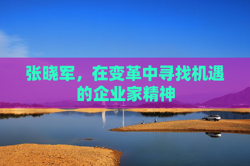 张晓军，在变革中寻找机遇的企业家精神