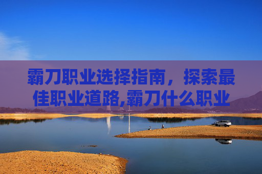 霸刀职业选择指南，探索最佳职业道路,霸刀什么职业好玩