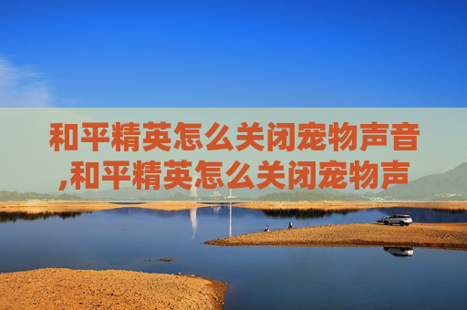 和平精英怎么关闭宠物声音,和平精英怎么关闭宠物声音模式