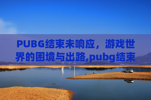 PUBG结束未响应，游戏世界的困境与出路,pubg结束就崩溃